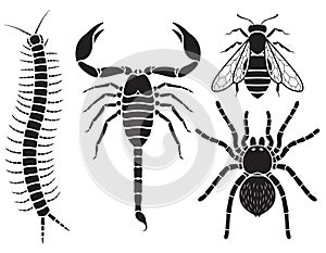 Poisonous insects set. Vector.