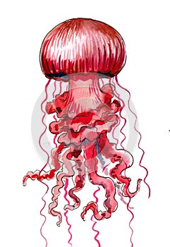 Poisonous jellyfish