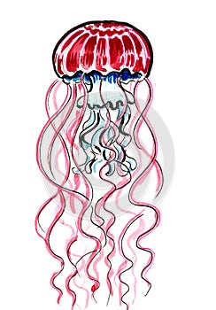 Poisonous jellyfish