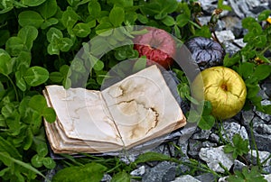 Poisonous magic apples and open diary with empty pages outdoors.