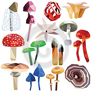 Poisonous mushroom set. photo