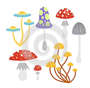 Poisonous mushrooms set. Amanita, fly agaric, toxic mushroom, grebe. Flat, cartoon, vector