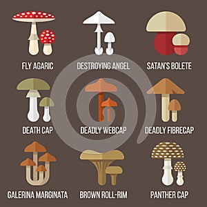 Poisonous mushrooms