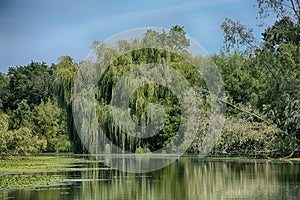 Poitou Charentes, France, on the La Sevre Niortaise River