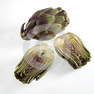 Poivrade Artichoke, cynara scolymus against White Background