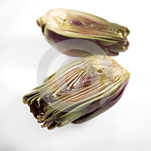 Poivrade Artichoke, cynara scolymus against White Background