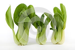 Pok Choi