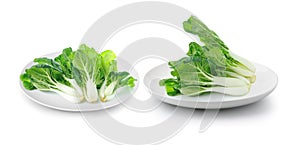 Pok Choi in plate on a white background