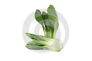 Pok choi vegetables arranged on white background