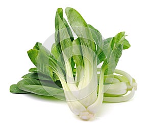 Pok Choi on white background