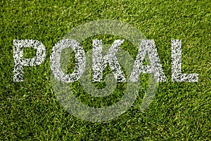 Pokal (german cup) written on grass