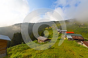 Pokut Plateau - Rize. The plateau is located in the south of Ã‡amlÄ±hemÅŸin