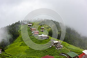 POKUT PLATEAU view with Kackar Mountains. Rize, Turkey.