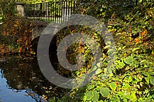 Poland.Autumn.The historic bridge overgrown with vegetation