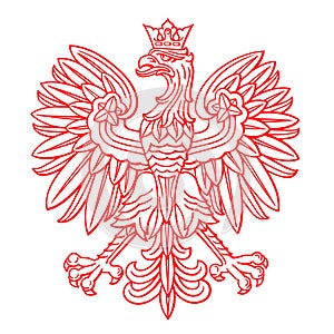 Poland eagle on white background