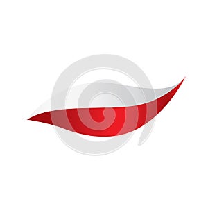 Poland flag, vector illustration