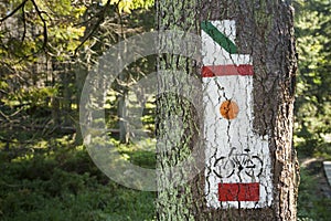 Poland, Gorce Mountains, trail blazing marks