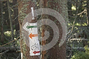 Poland, Gorce Mountains, trail blazing marks