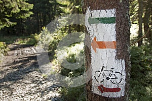 Poland, Gorce Mountains, trail blazing marks