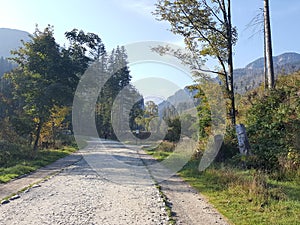 Poland, Malopolska, Tatra mountains - the Koscieliska valley.