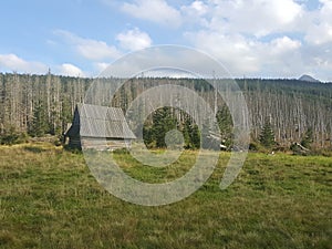 Poland, Malopolska, Tatra mountains - the Pod Kopiencem glade.