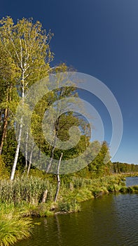 Poland, nature trail by the lake.