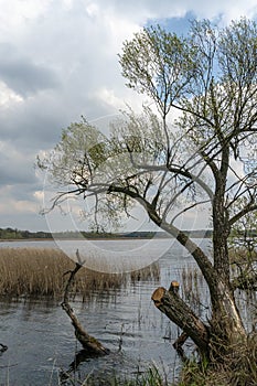 Poland, nature trail by the lake.