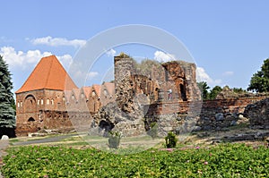 Poland, Toru?, kujawsko-pomorskie - ruiny zamku krzy?ackiego. photo