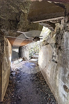 Poland 14-09-2018 Wolf, s Lair Hitler, s bunker Ketrzyn, Poland View of the personal bunker inside now ruin of Adolf Hitler. Y