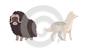 Polar Animals Set, Arctic Bison and Wolf Cartoon Vector Illustration