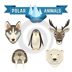 Polar Animals Set