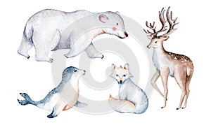 polar arctic animals watercolor collection set. snowy owl. reindeer. polar bear and fox, penguin, walrus. seal. hare. whale