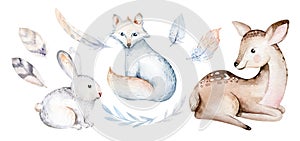 polar arctic animals watercolor collection. snowy owl. reindeer and polar bear, arctic fox. Baby penguin, walrus and seal, hare.