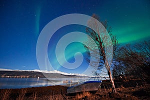 Polar arctic Northern lights aurora borealis sky star in Scandinavia Norway Tromso in the farm winter snow mountains