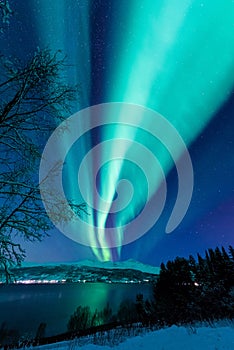 Polar arctic Northern lights aurora borealis sky star in Scandinavia Norway Tromso in the farm winter snow mountains