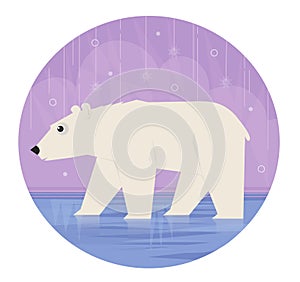 Polar Bear