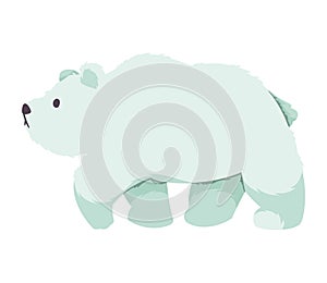 polar bear artic animal