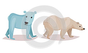 Polar Bear as Carnivore Mammal Isolated on White Background Vector Set