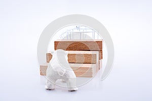 Polar bear is on the bullding blocks