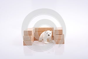 Polar bear and the bullding blocks