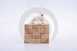 Polar bear is on the bullding blocks
