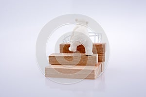 Polar bear is on the bullding blocks