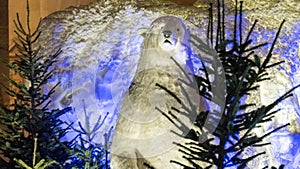 Polar bear Christmas animation, in night city