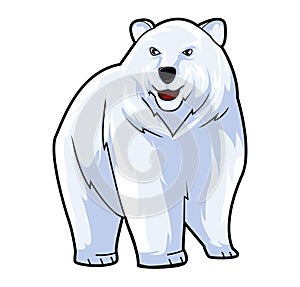 Polar Bear Color Illustration Design