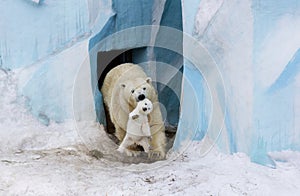 Polar bear with cub. Mother love.