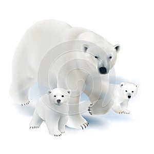 Polar bear and cubs.