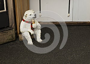 Polar bear eating an ice cream