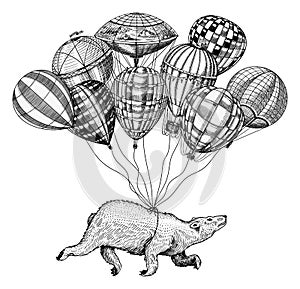 Polar Bear flies on Air Balloons. Vintage retro airship with decorative elements. Wild Animal soars in the sky. Template