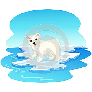 Polar bear on floating an ice
