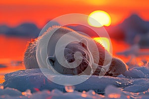 polar bear and global warming climate change , .World Environment Day concept. generative ai